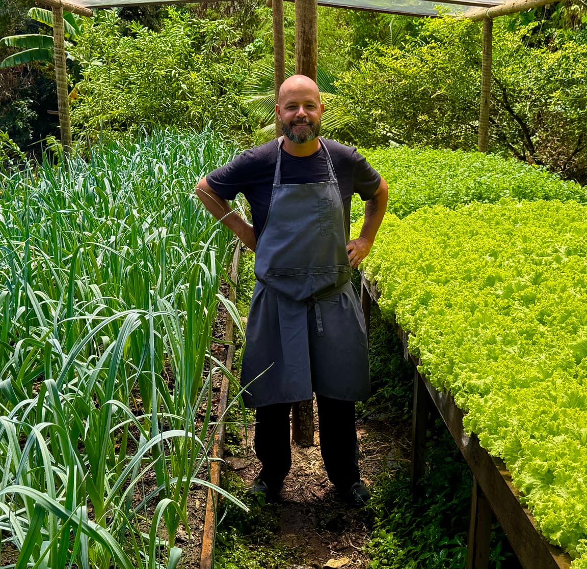Chef do Restaurante do Vale na agrofloresta orgânica entre canteiros de folhas verdes em Fernando de Noronha
